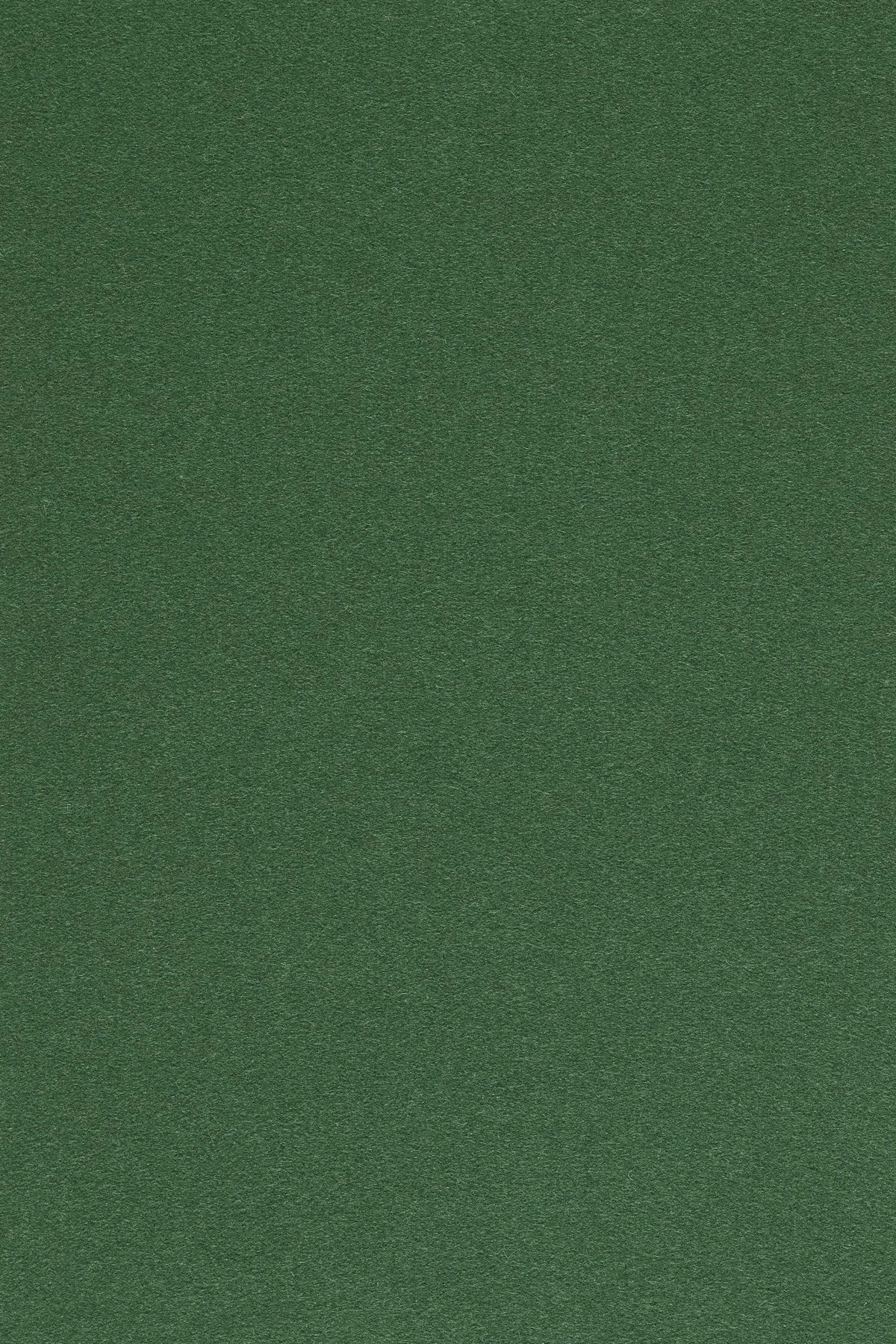 Fabric sample Divina 3 876 green